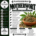 Motherwort c/s (Leonurus cardiaca)