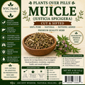 Muicle | Blood Purification, Immunity & Digestive Harmony
