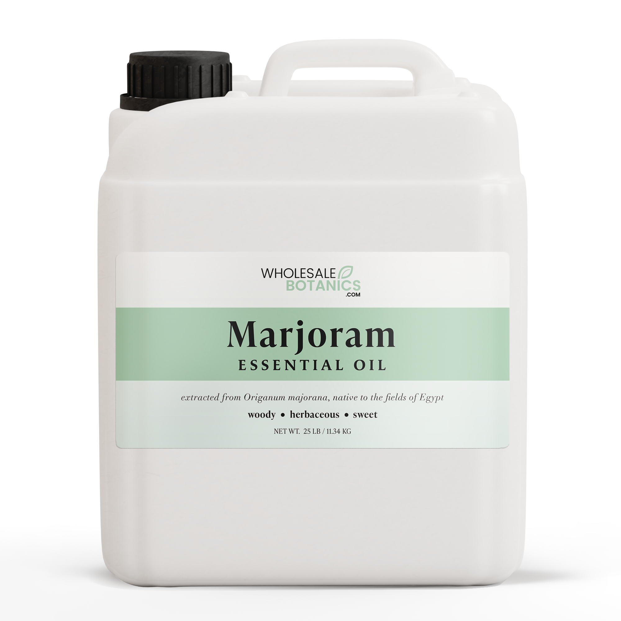 Marjoram (sweet) Essential Oil