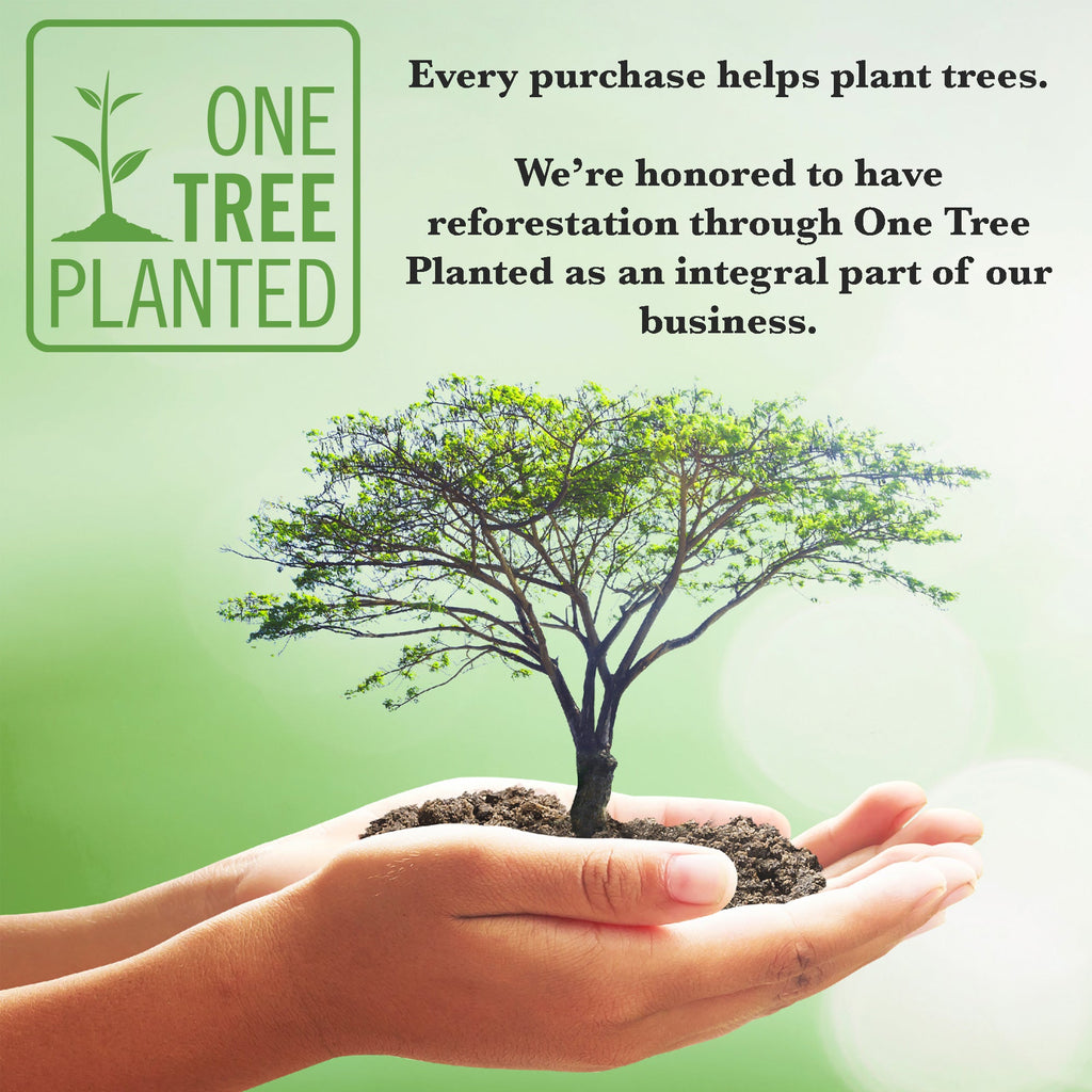 Korean Ginseng