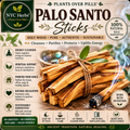 Palo Santo | Sacred Cleansing & Energy Renewal