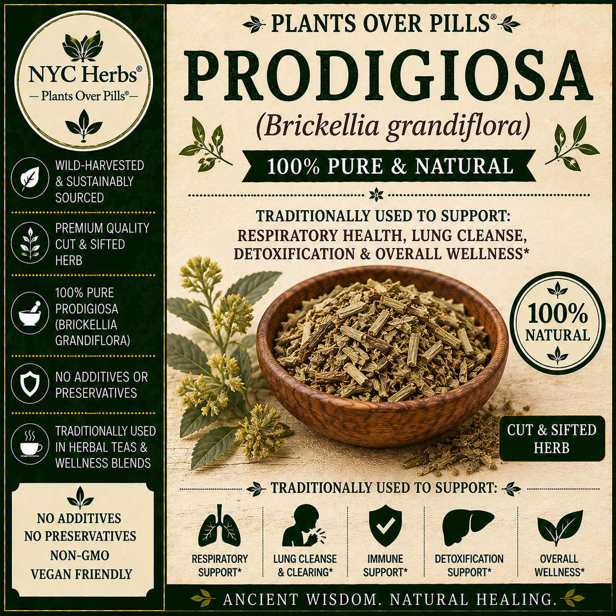 Prodigiosa | Lucid Dreaming & Mental Clarity