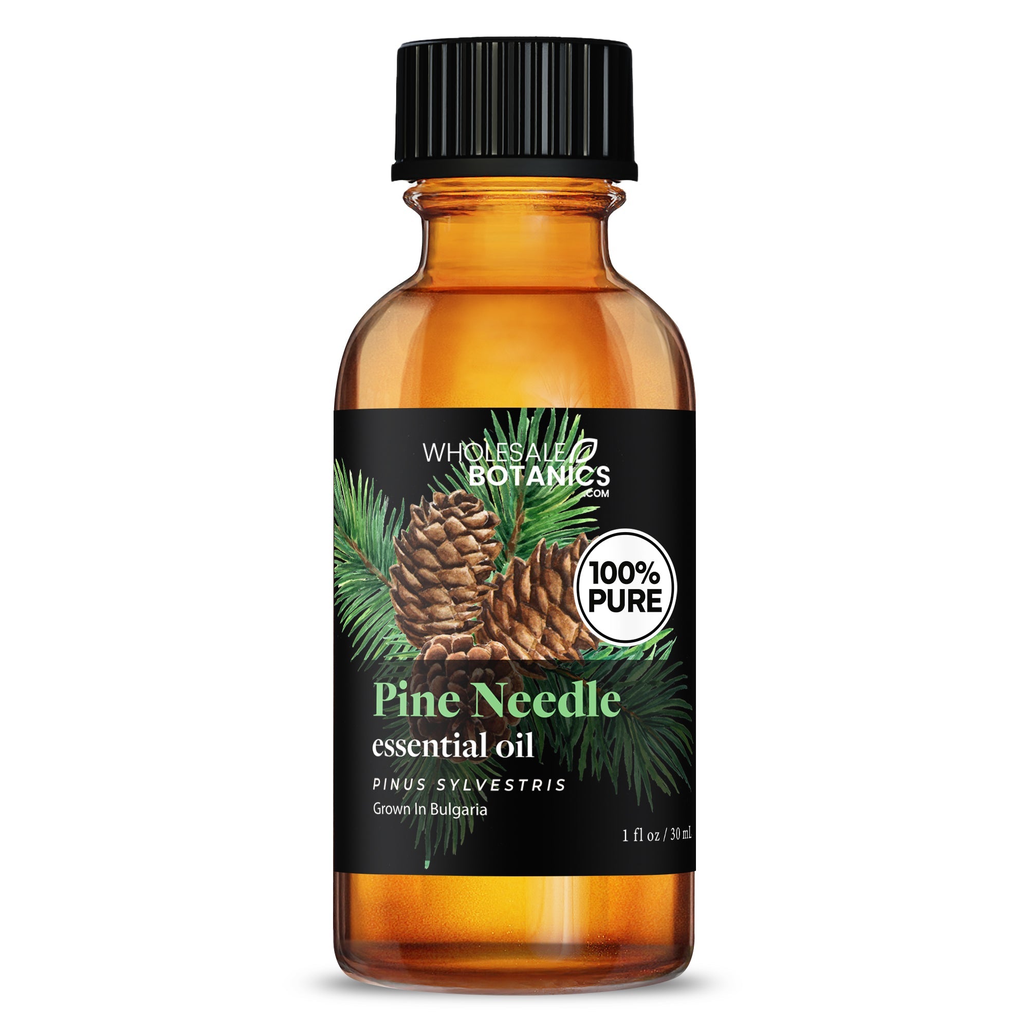 Pine Needle Essential Oil