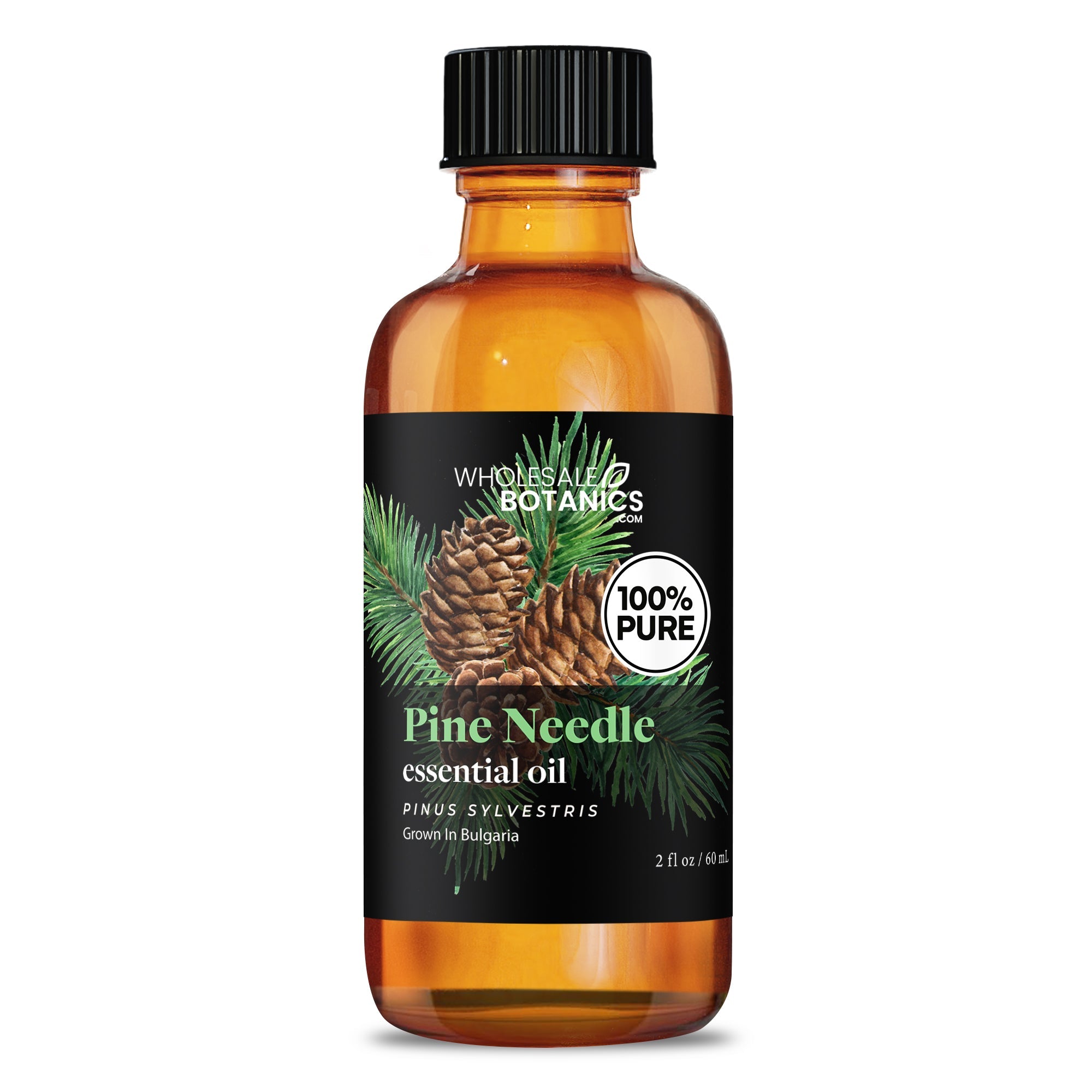 Pine Needle Essential Oil
