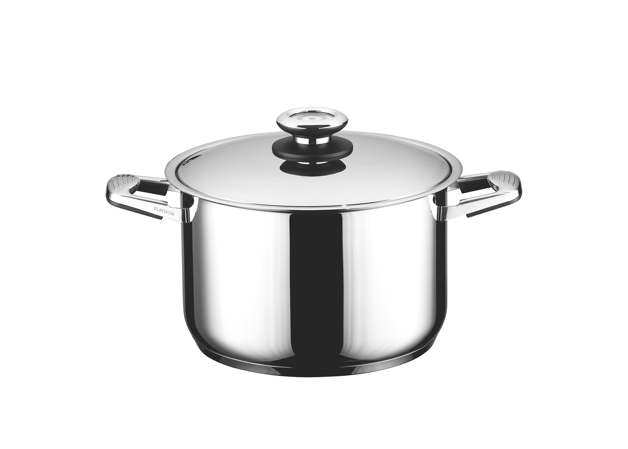 Stainless Steel Stock Pots — Professional Platinum