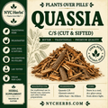 Quassia (Hombre Grande)