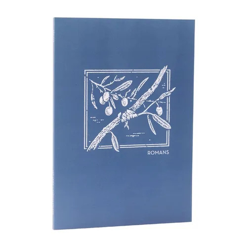 Net Abide Bible Journal - Romans, Paperback, Comfort Print: Holy Bible - Paperback