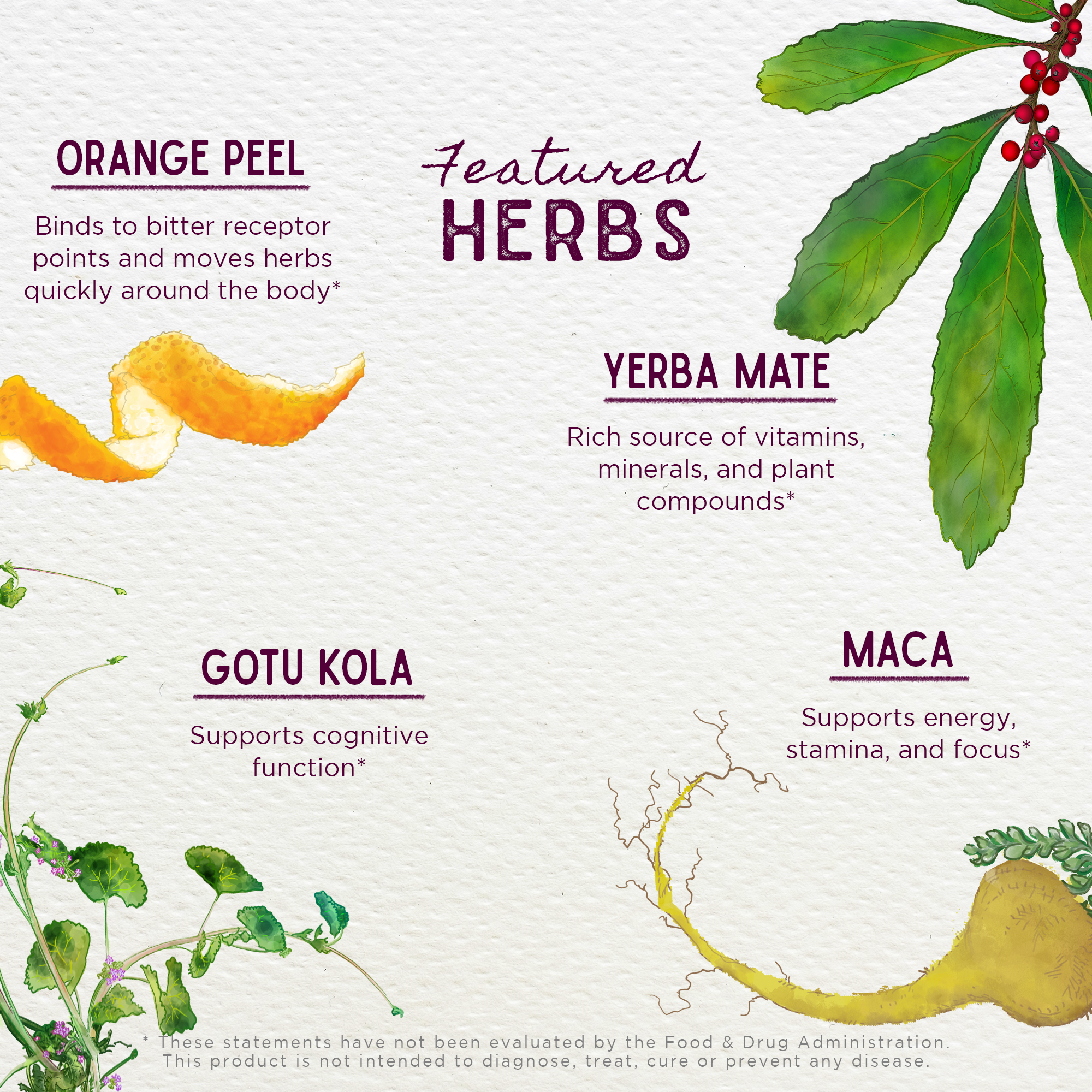 Rise & Energize, Daily Energy Boost