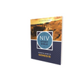 NIV Study Bible Essential Guide to Genesis, Paperback, Red Letter, Comfort Print