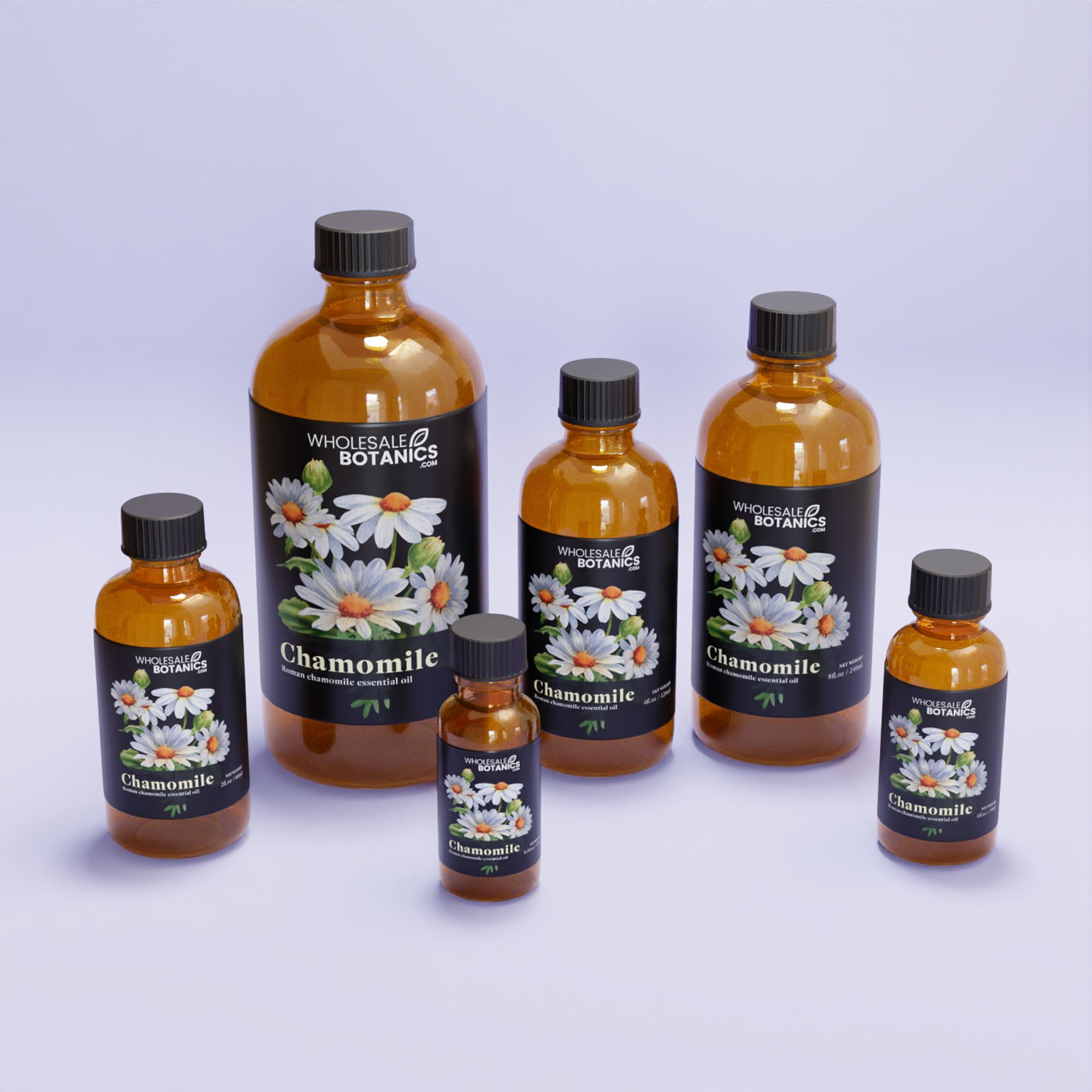 Roman Chamomile Essential Oil