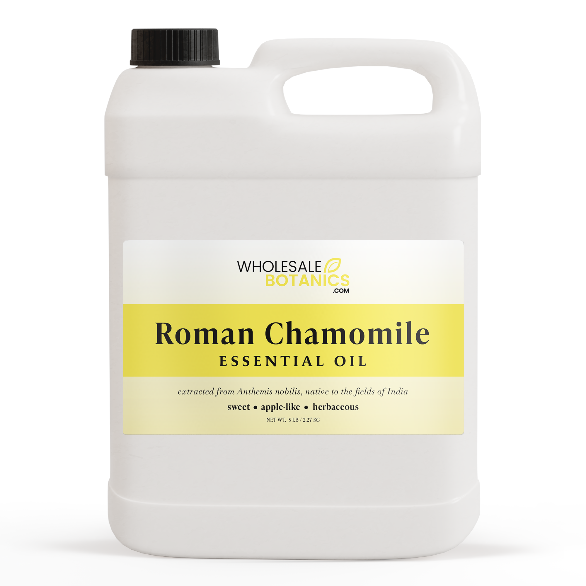 Roman Chamomile Essential Oil