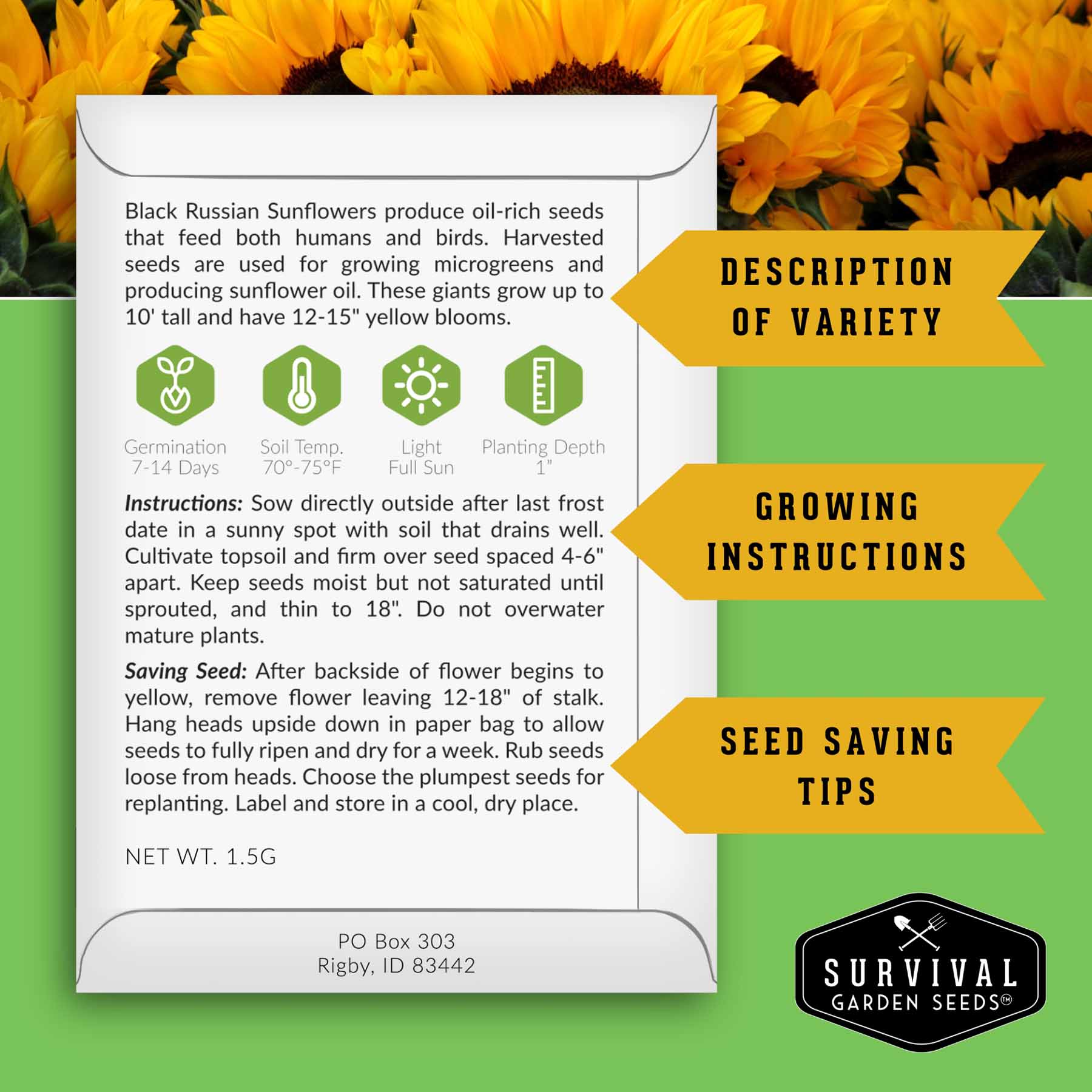 Sunflower Seed Collection – 6 Colorful, Pollinator-Friendly Varieties for Stunning Garden Displays