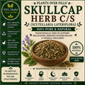 Skullcap Herb