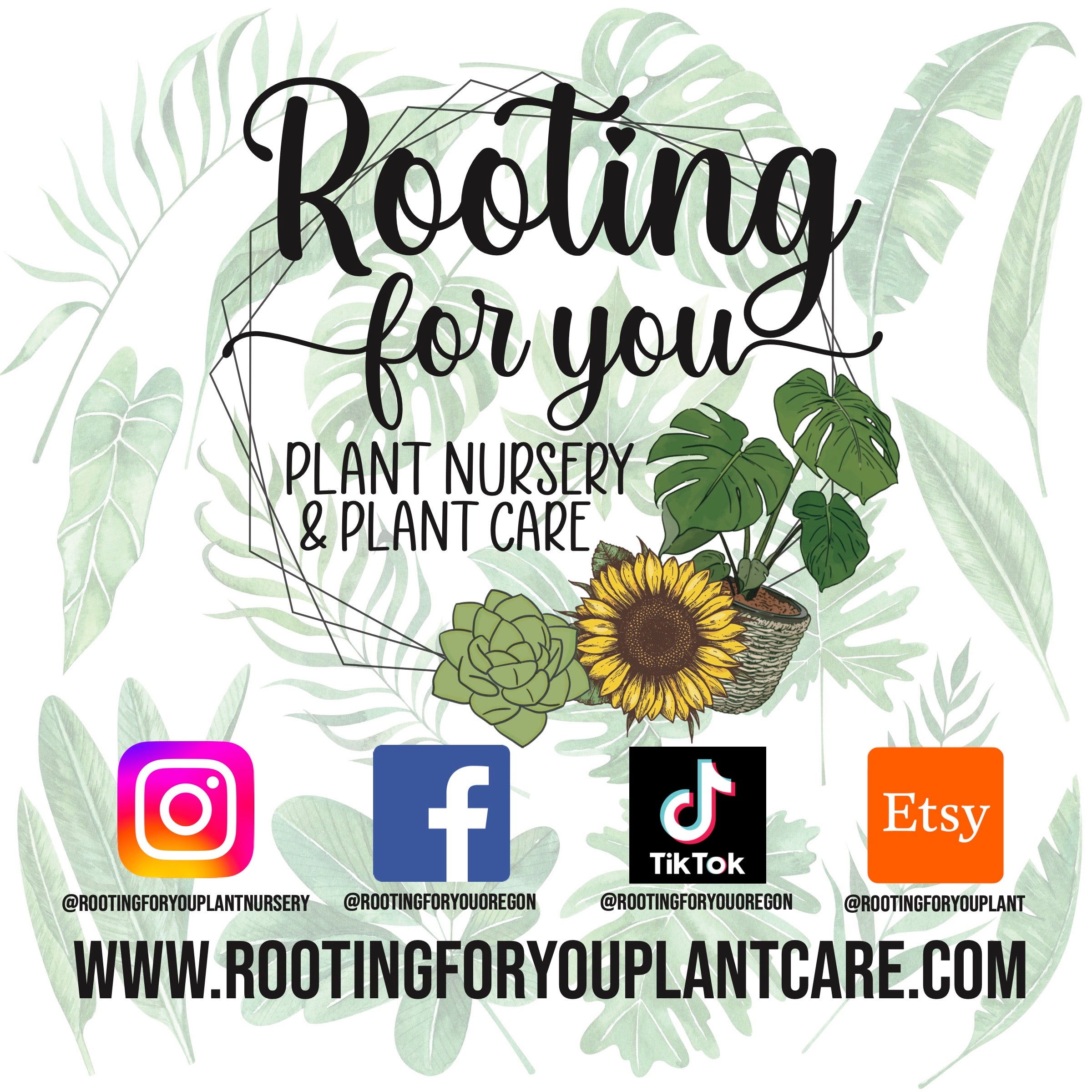 Hydrangea Premium Potting Mix