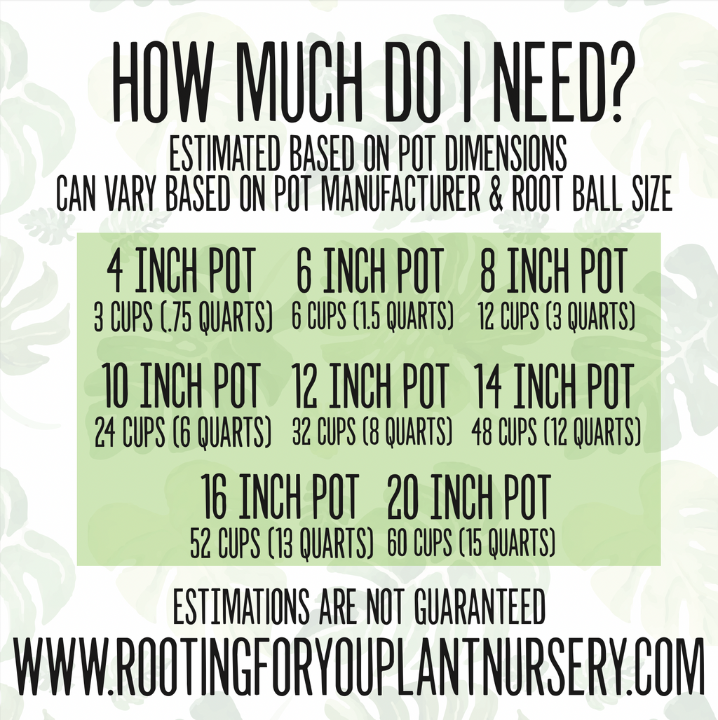 Amydrium Premium Potting Mix