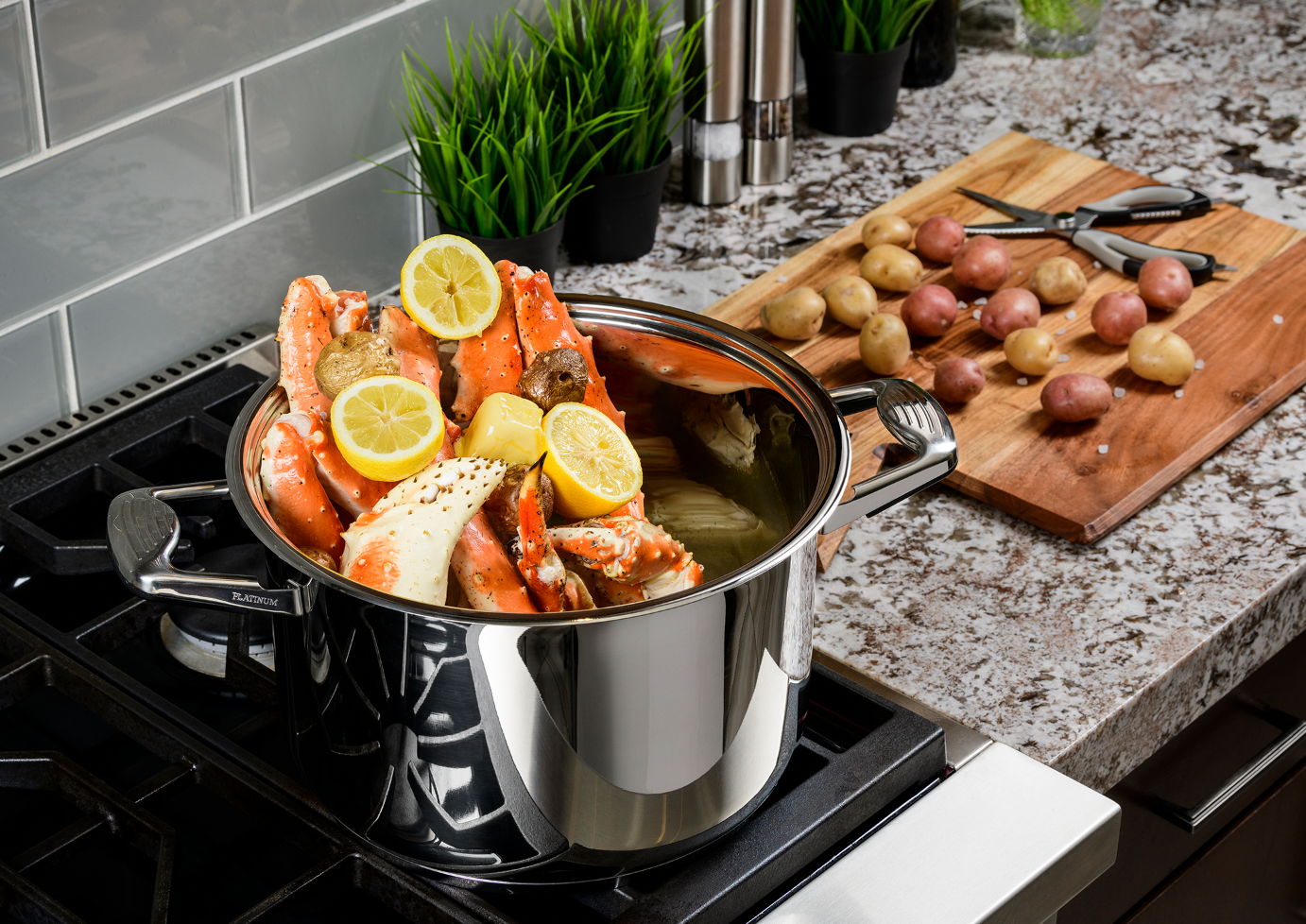 Stainless Steel Stock Pots — Professional Platinum