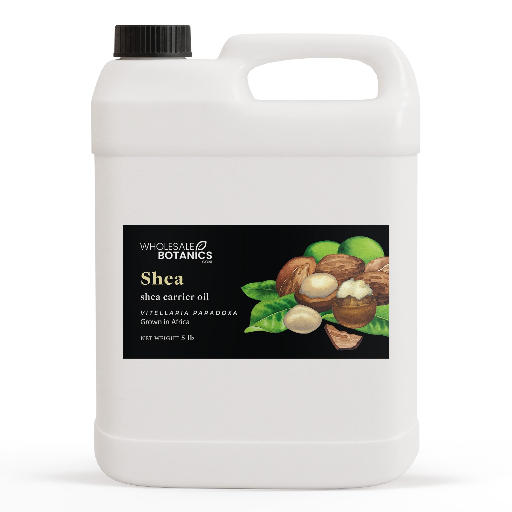Shea Oil