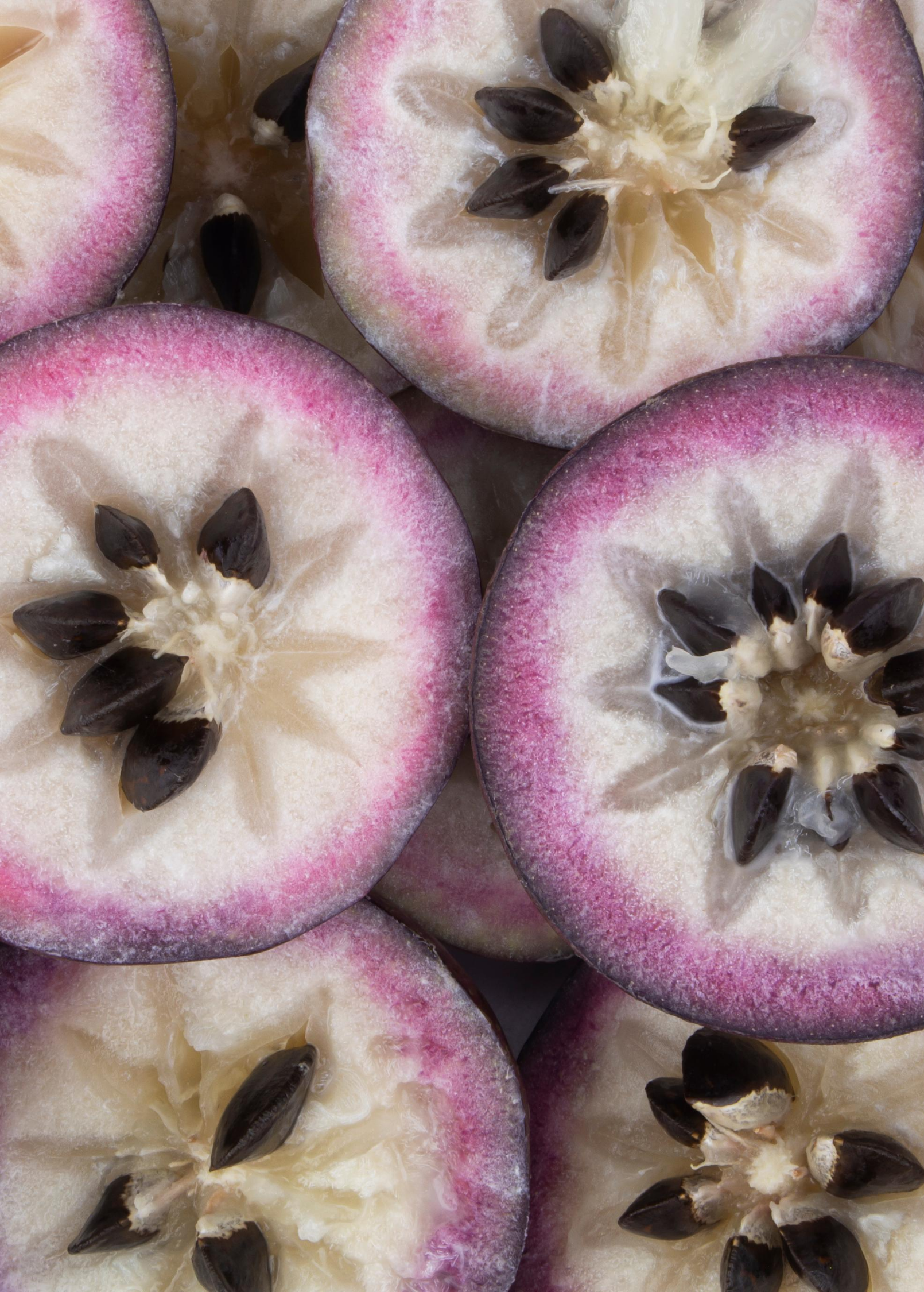 Purple Caimito, Star Apple (Chrysophyllum cainito)
