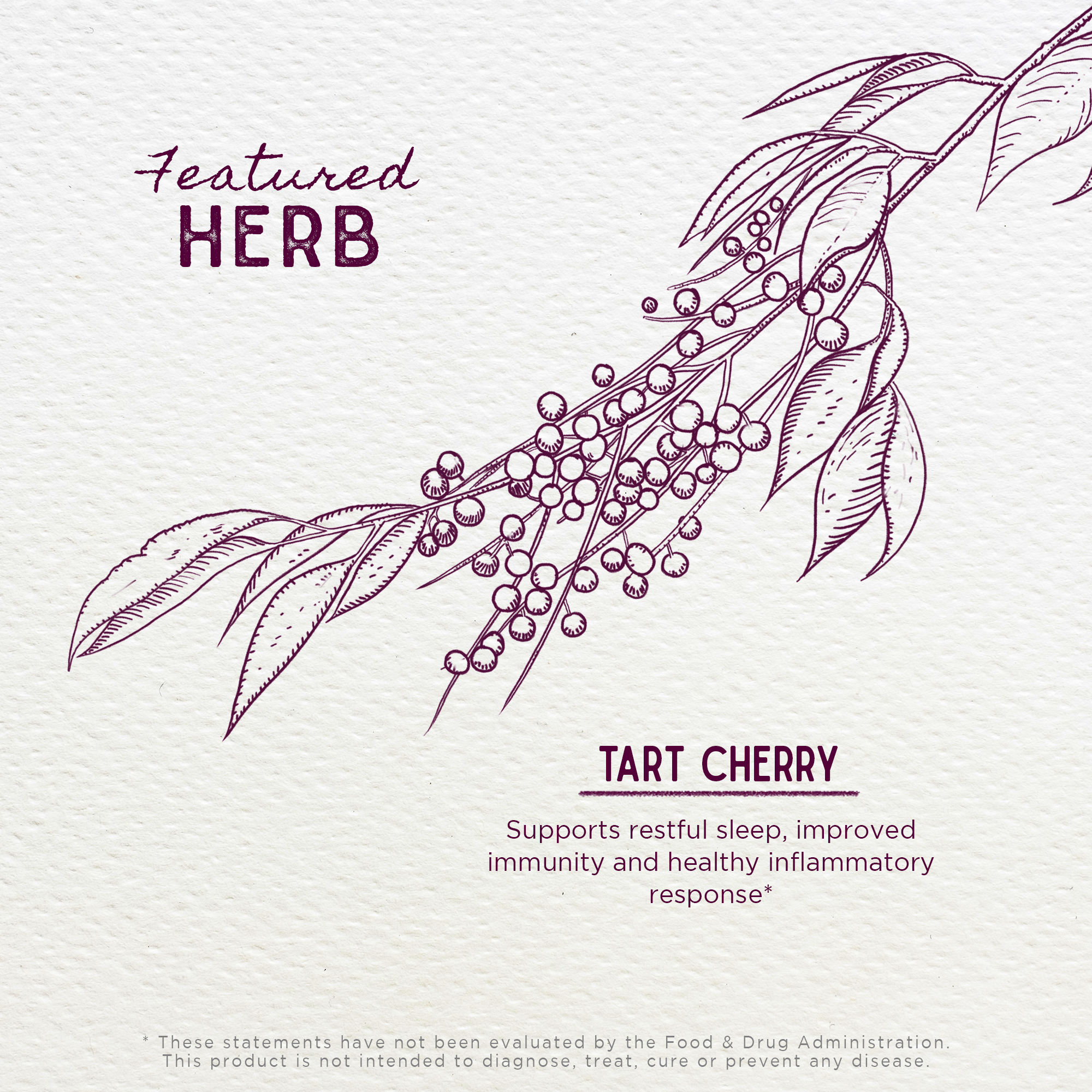 Tart Cherry Tincture