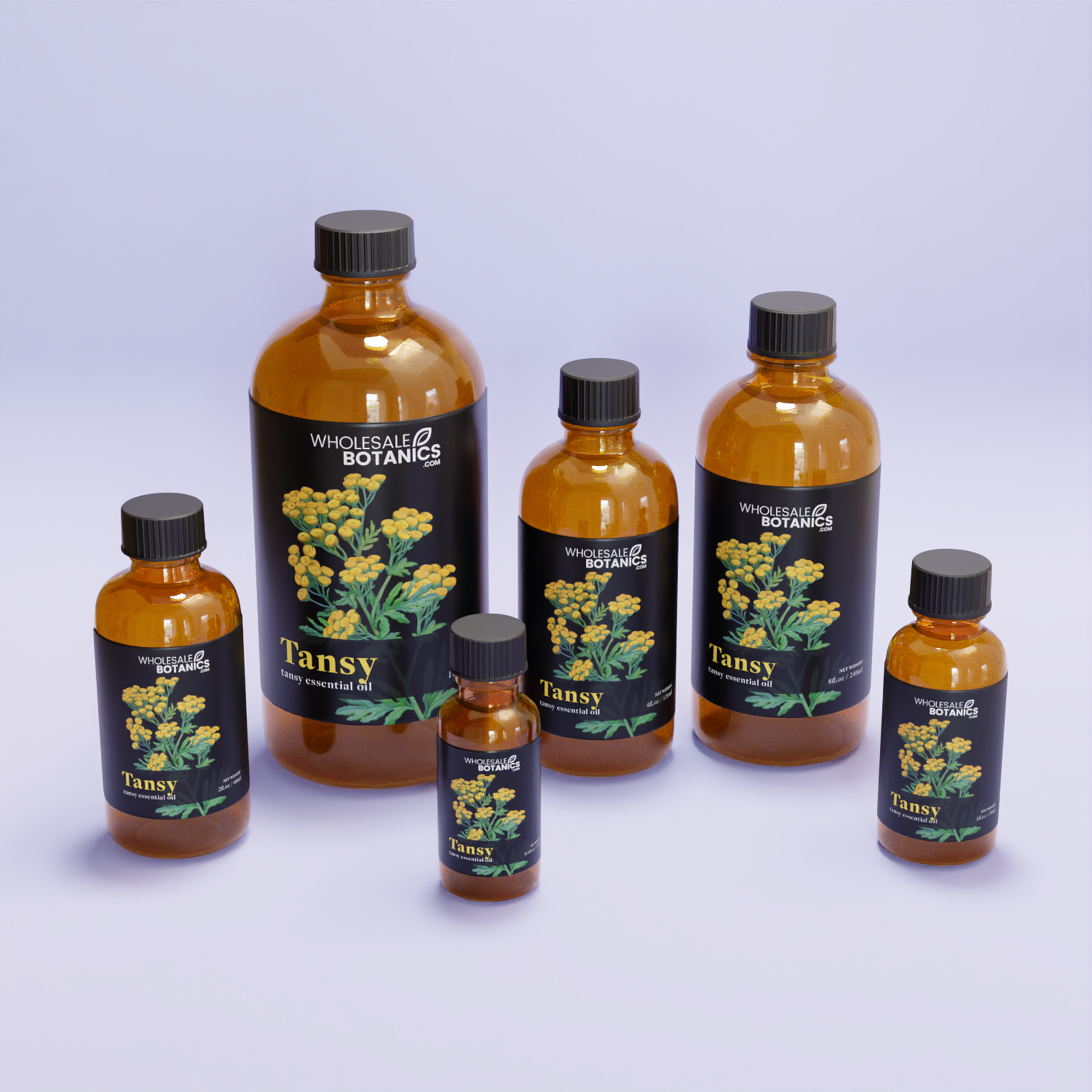 Tansy Essential Oil