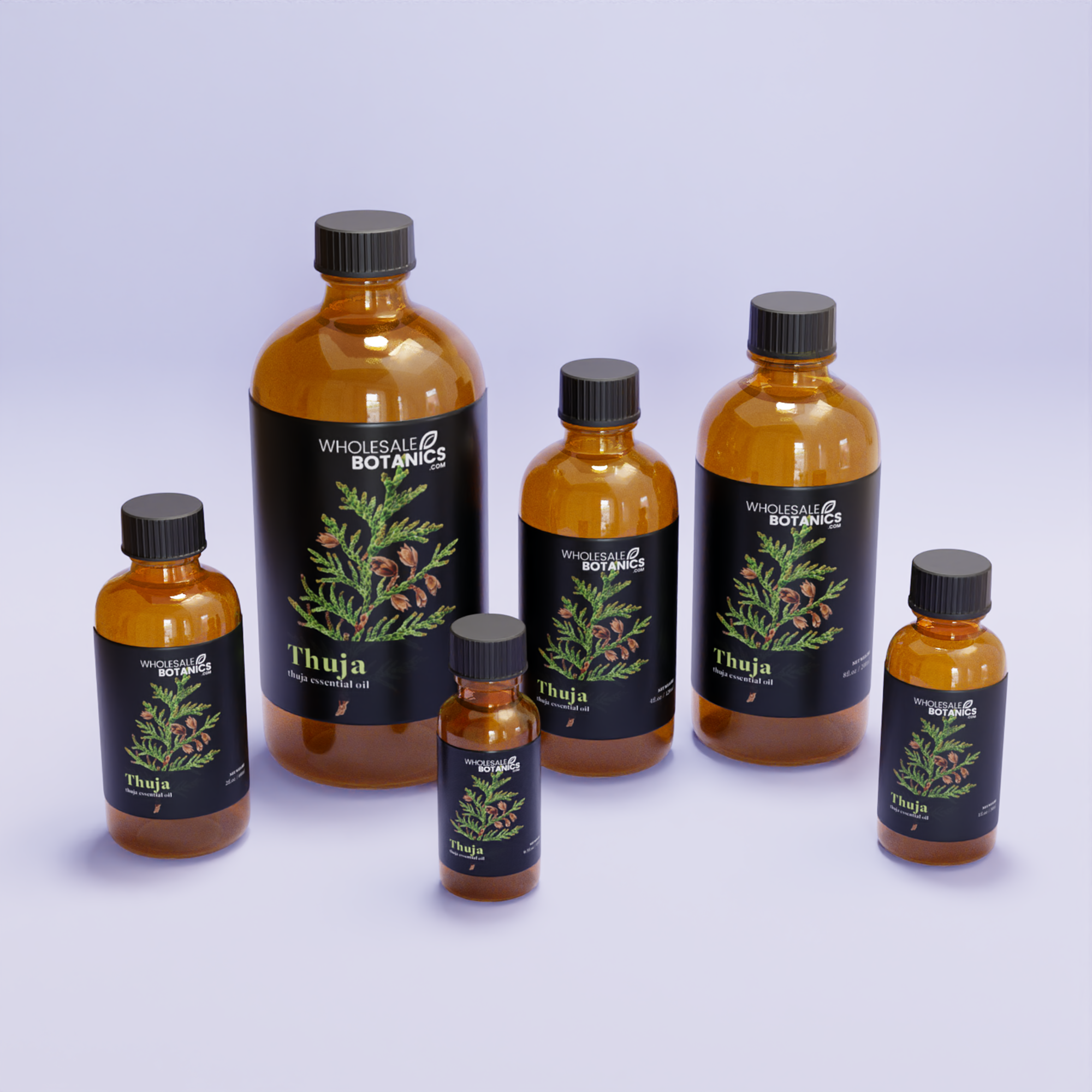 Thuja Essential Oil