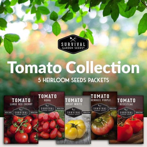 5 Tomato Seed Collection – Assorted Heirloom & Garden Favorites for Fresh Eating, Sauces & Preserving