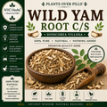 Wild Yam Root c/s