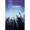 NIV, Outreach New Testament, Large Print, Paperback