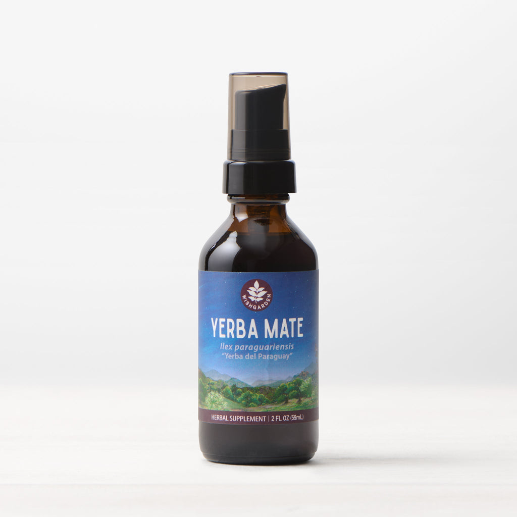 Yerba Mate Tincture