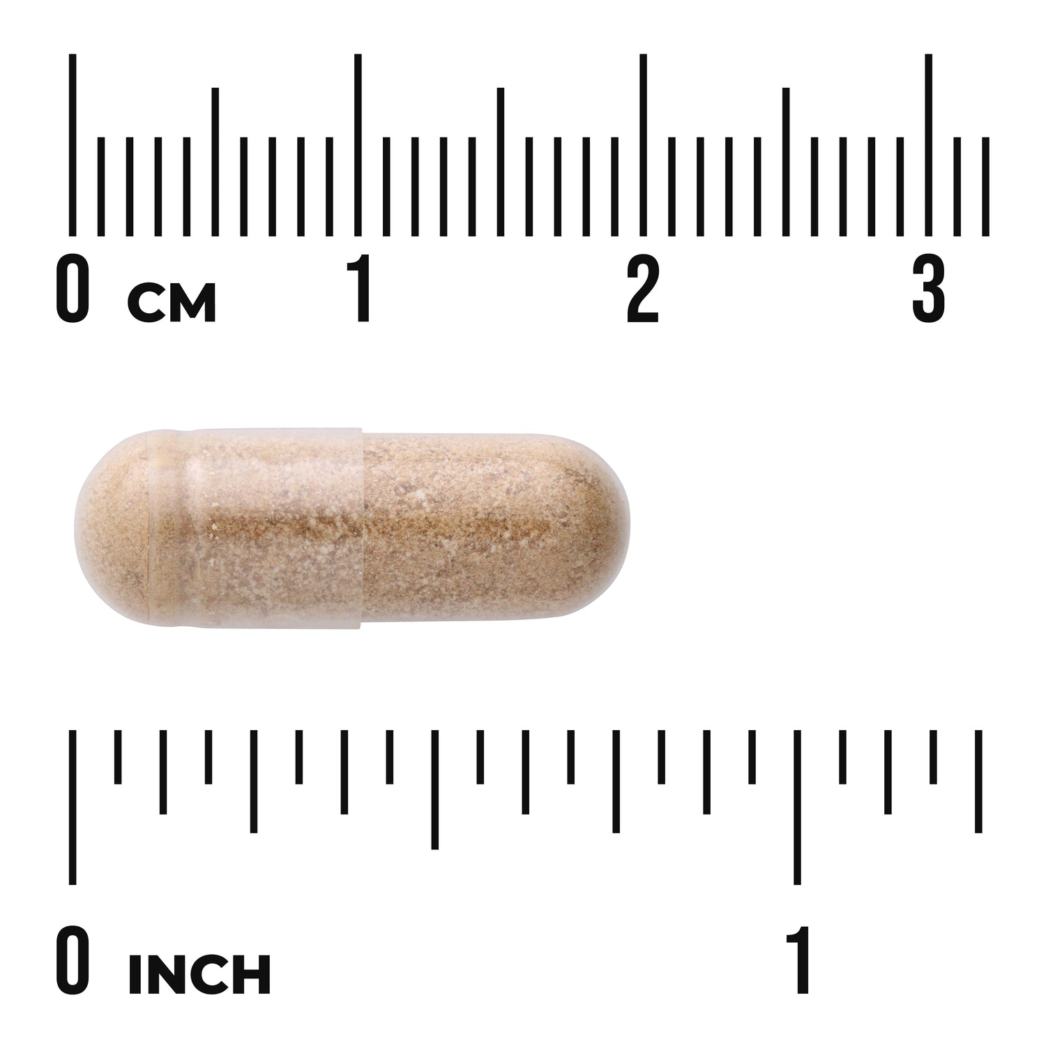 Spleen Glandular