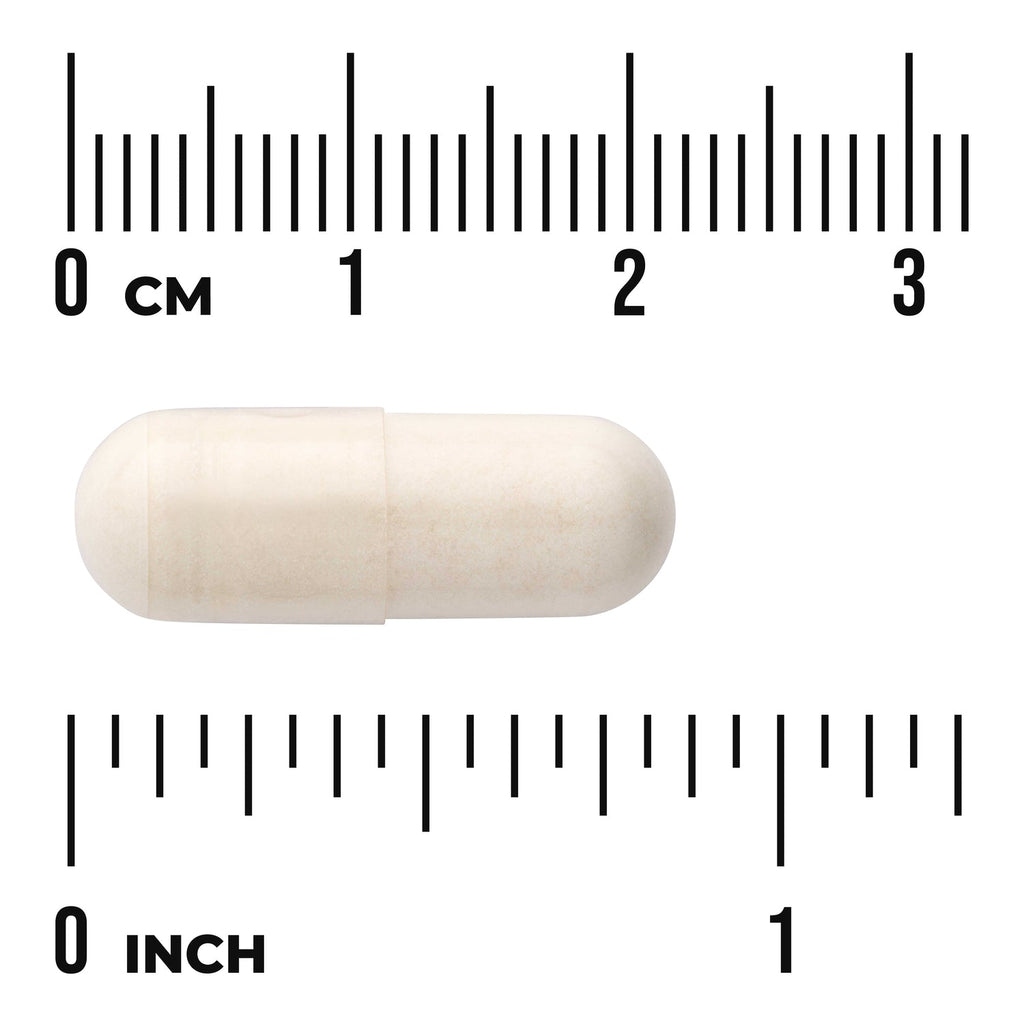 Digestitol with Enzymes & BioPerine