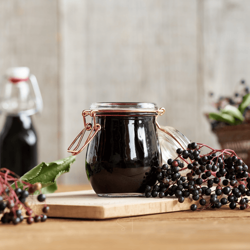 American Black Elderberry – 50 Seeds