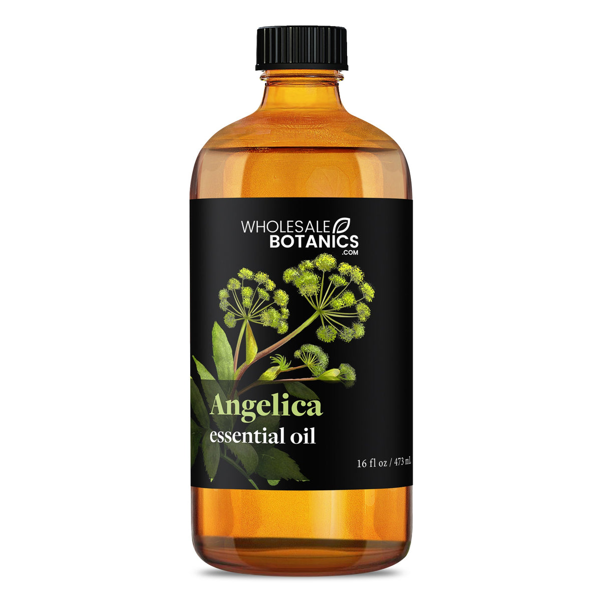 Angelica Essential Oil