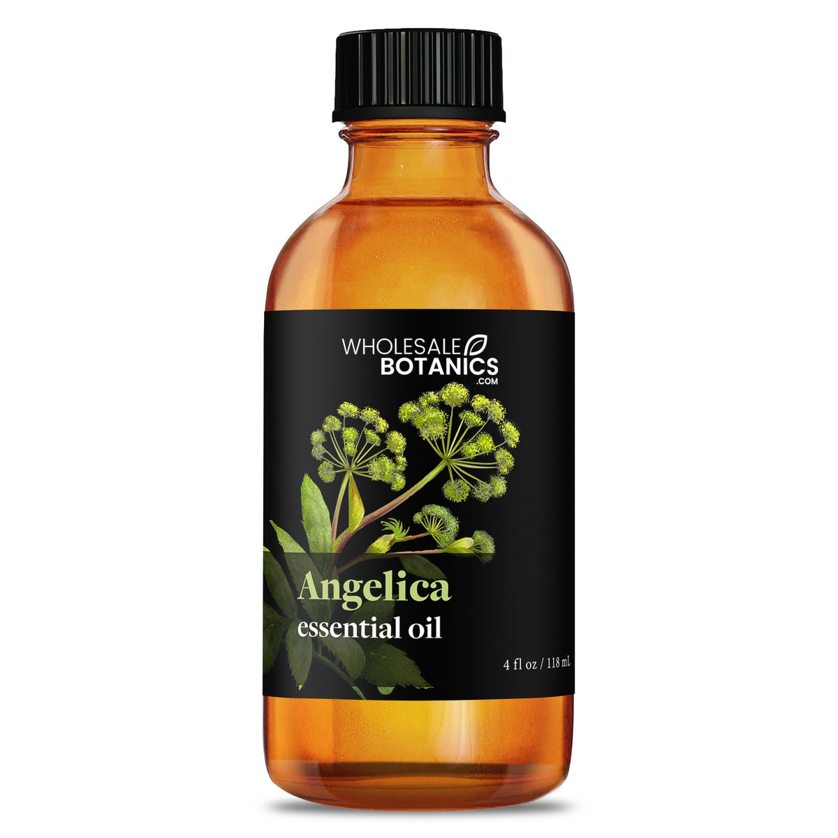 Angelica Essential Oil