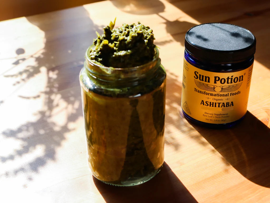 Ashitaba Leaf & Stem Powder (Wildcrafted)