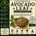 Avocado Leaf | Digestion, Circulation & Respiratory Support