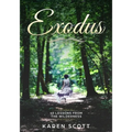Exodus: 40 Lessons From The Wilderness