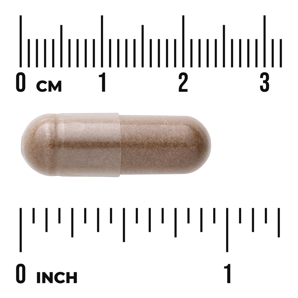 Astragalus - Standardized