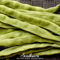 Roma II Bean (Bush Bean) – 30 Seeds