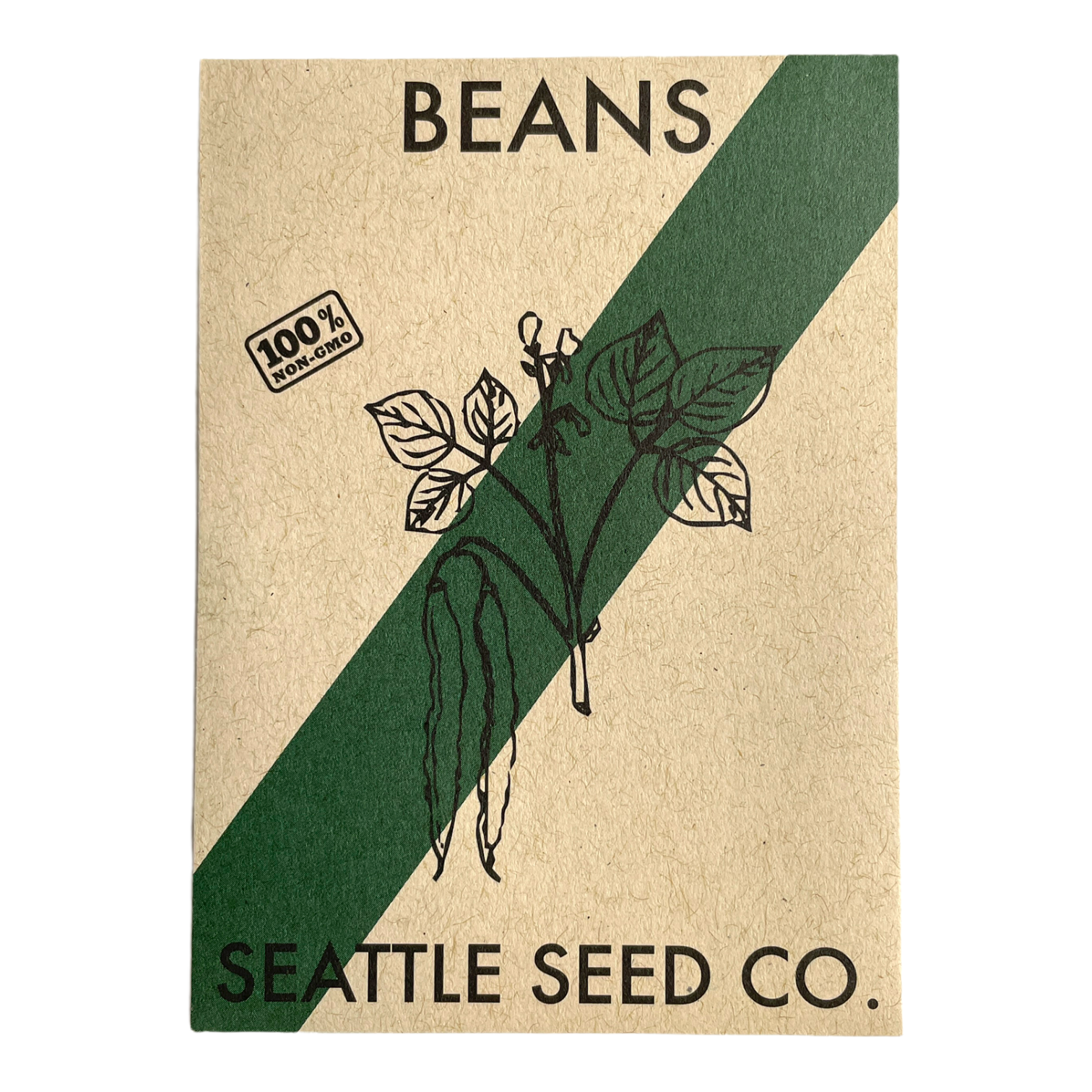 Blue Lake FM-1 Pole Bean Seeds