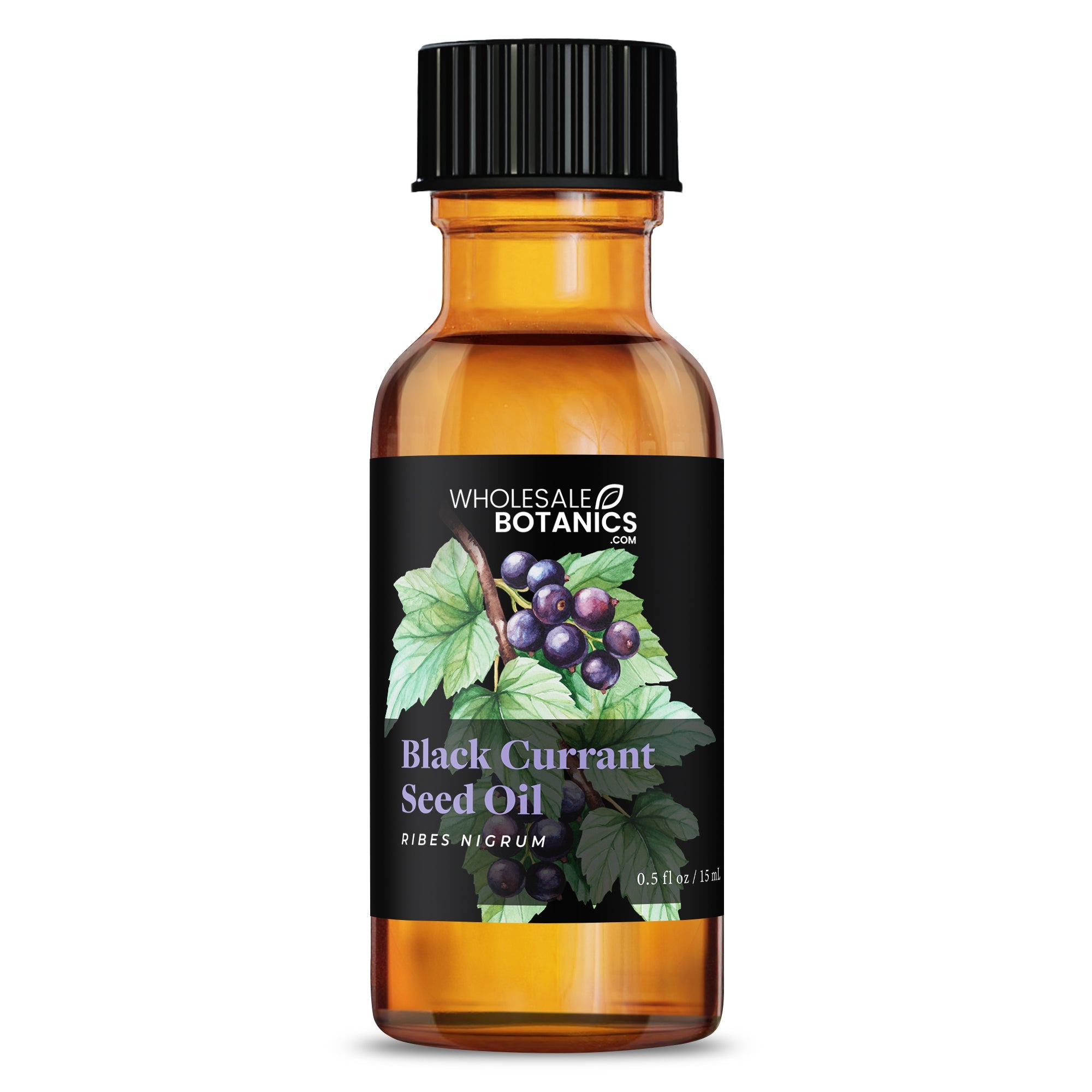 Black Currant Seed Oil