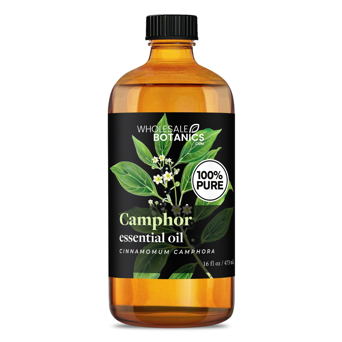 Camphor Essential Oil