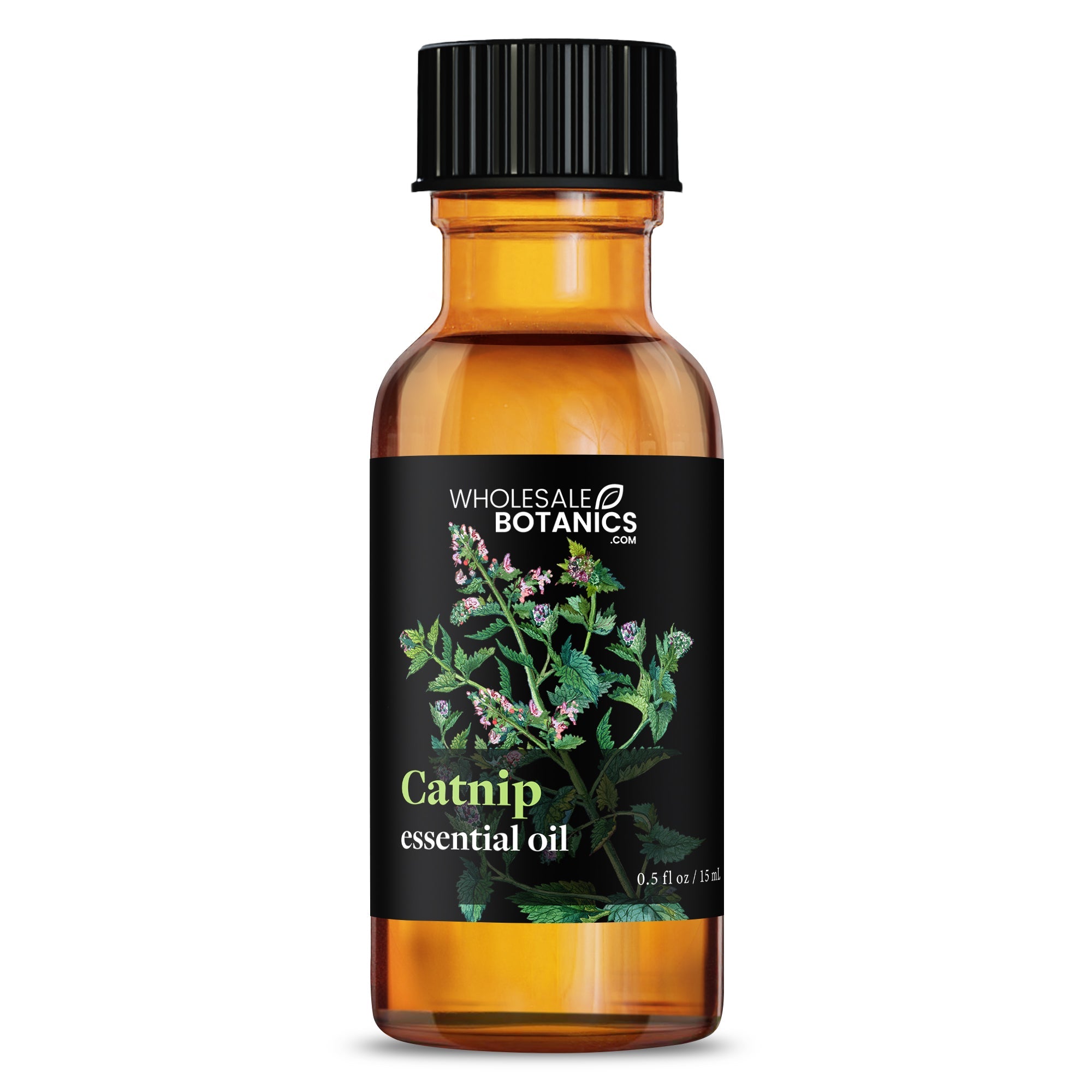 Catnip Essential Oil