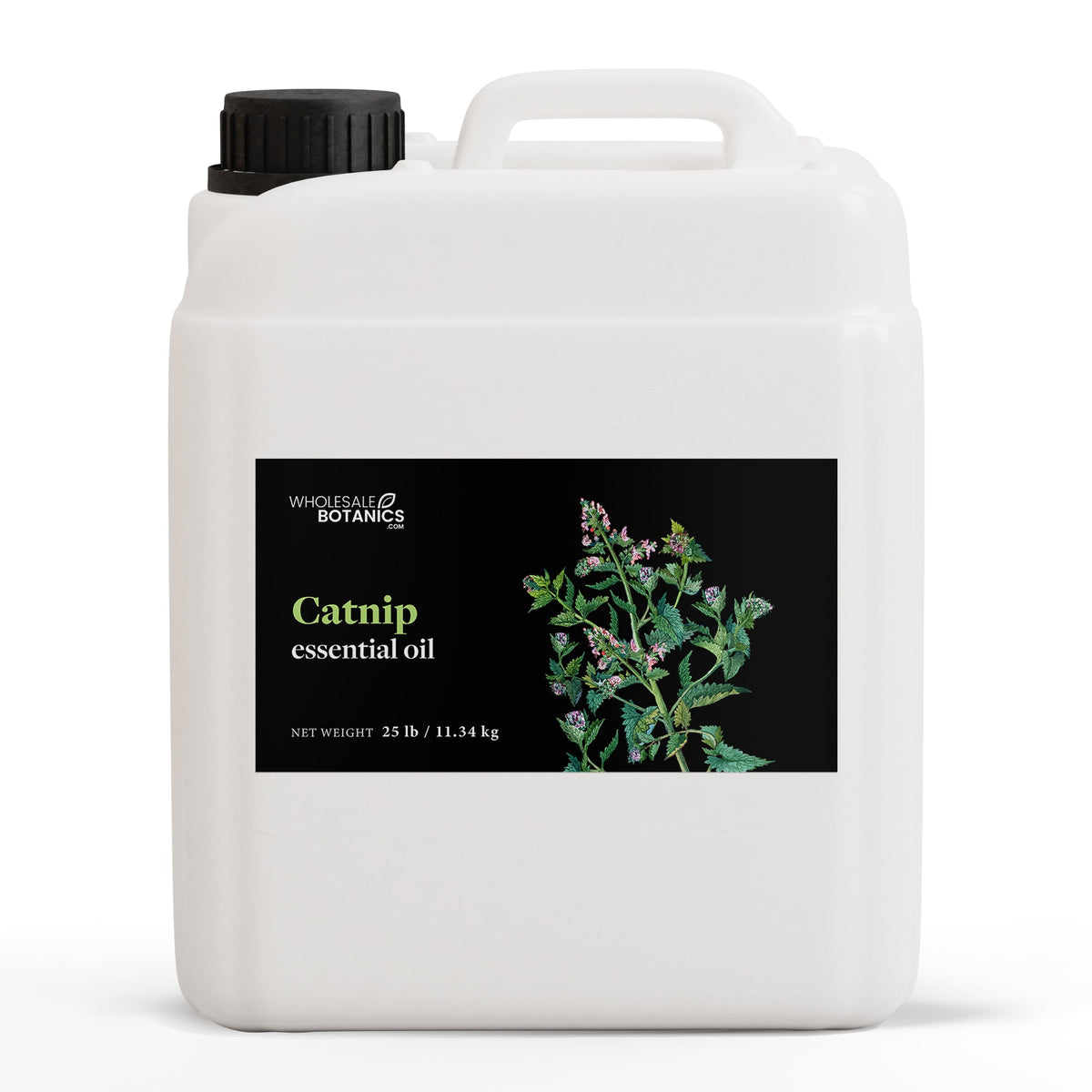 Catnip Essential Oil
