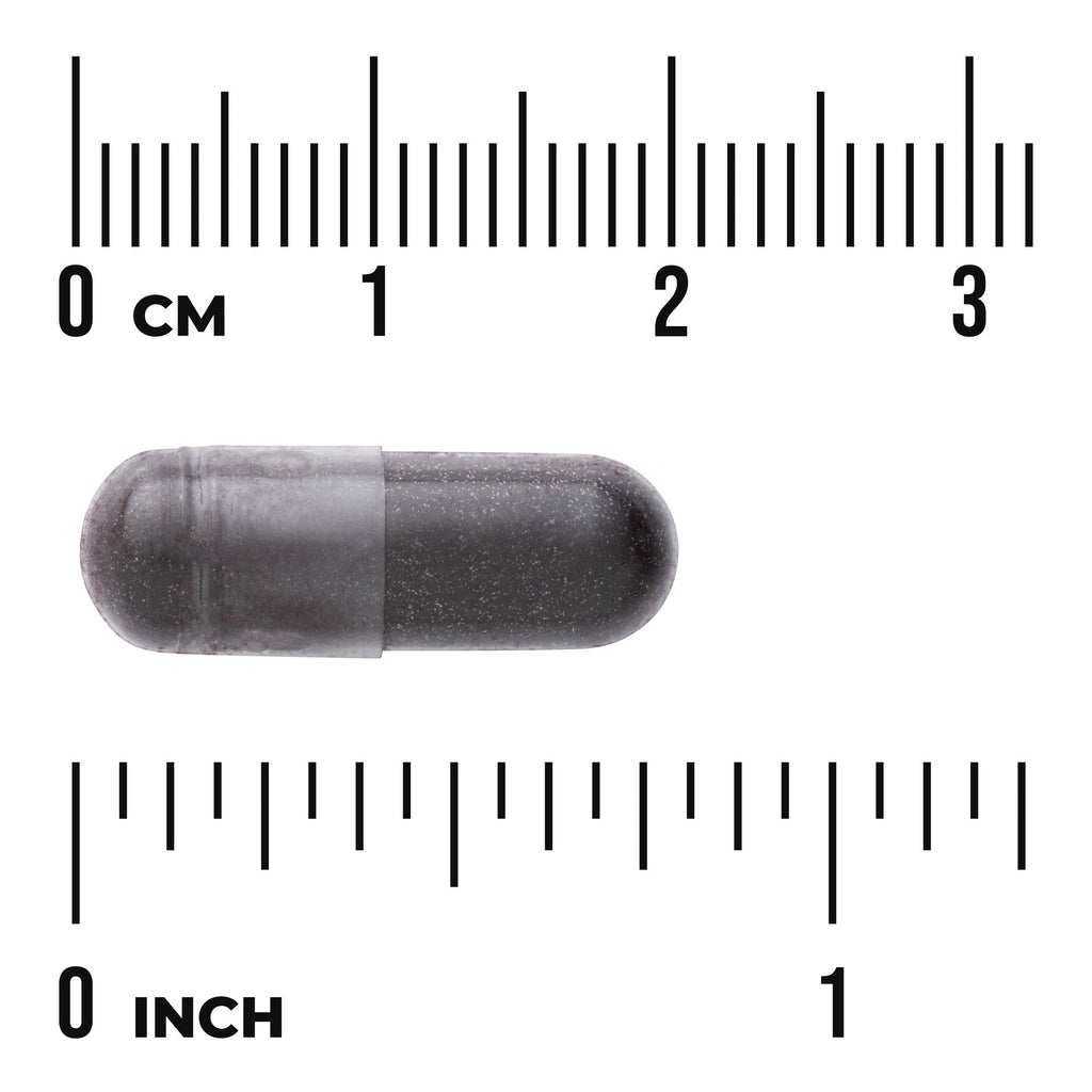 Bilberry - Maximum Strength