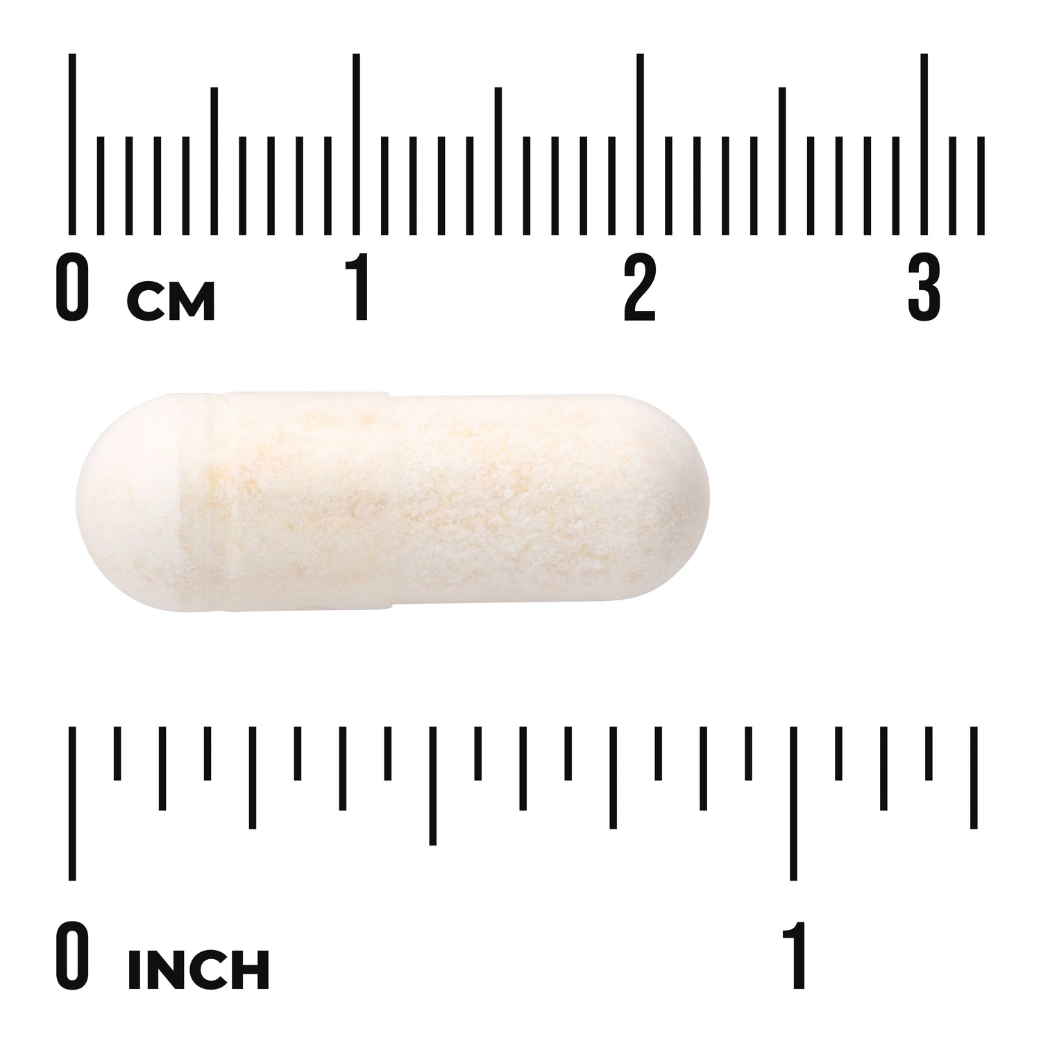 Probiotic for Digestive Health