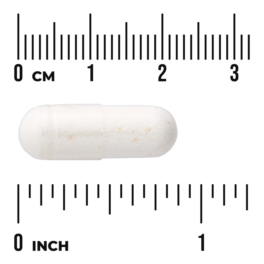 Lactobacillus Acidophilus