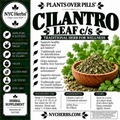 Cilantro Leaf