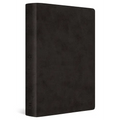 ESV Giant Print Value Thinline Bible (Trutone, Black)
