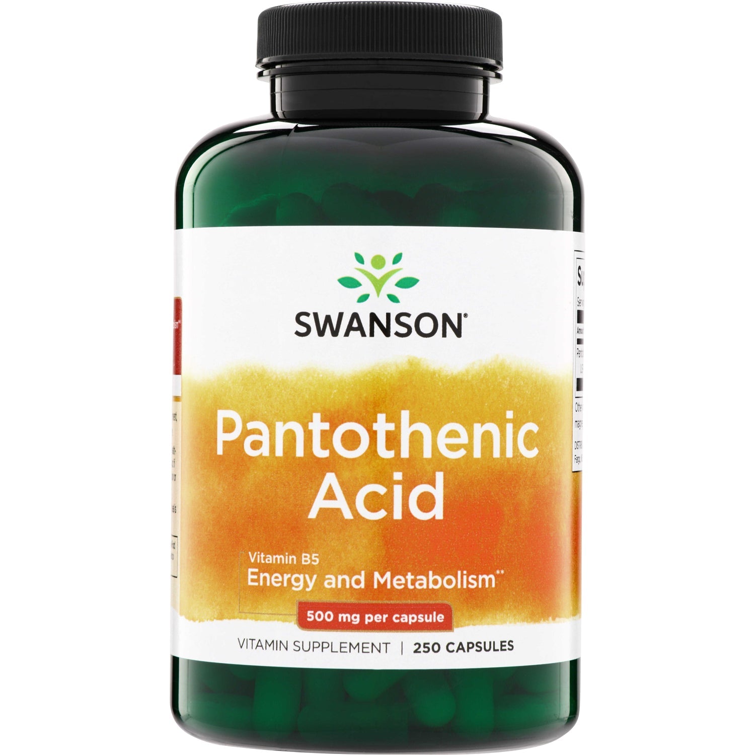 Pantothenic Acid
